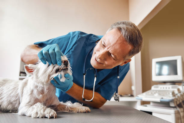 Best Emergency Tooth Extraction in Barview, OR